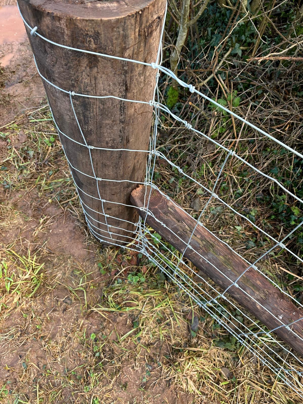 Close-up of a new timber strainer post with stock netting and a supporting strut