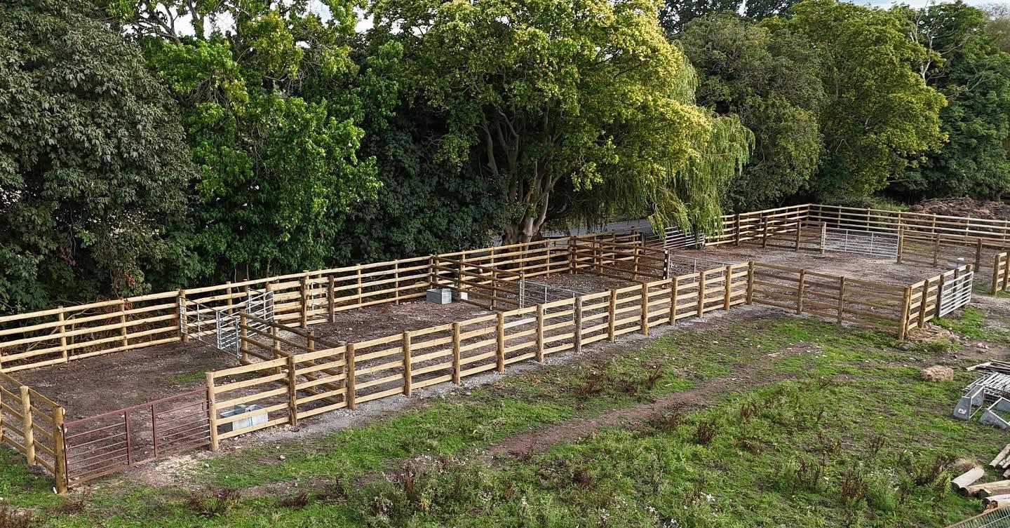 Aerial view of a completed timber cattle handling yard with post-and-rail pens and metal gates