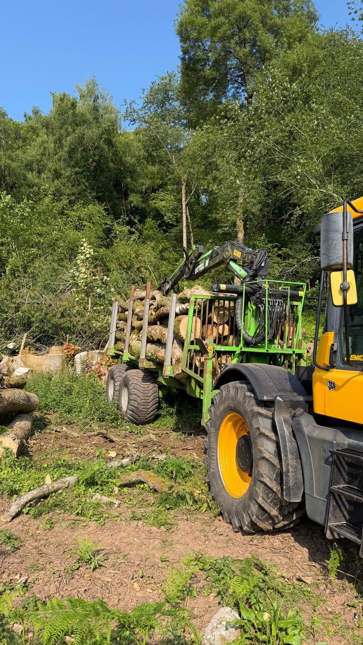Tracked crane and timber trailer extracting cut timber from woodland