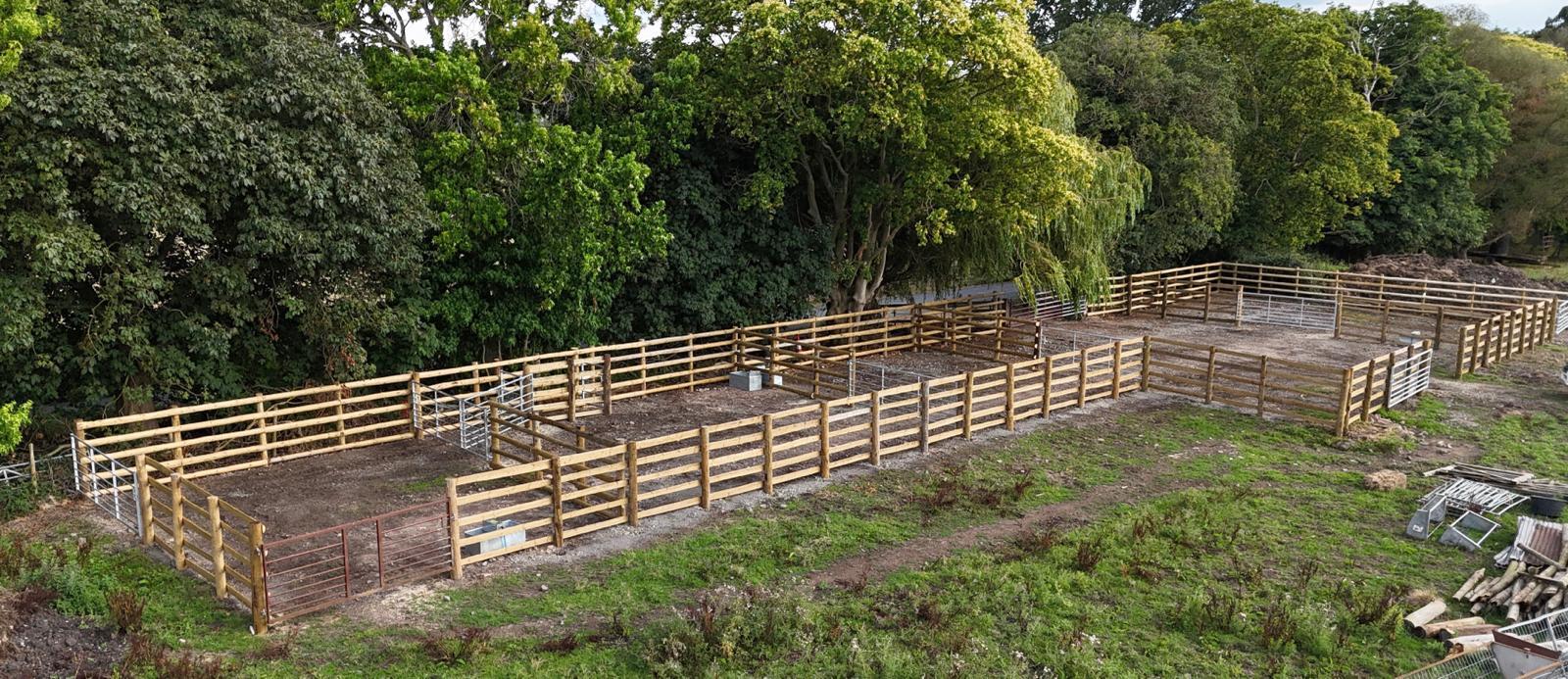 Aerial view of a completed timber cattle handling system with post-and-rail pens and metal gates