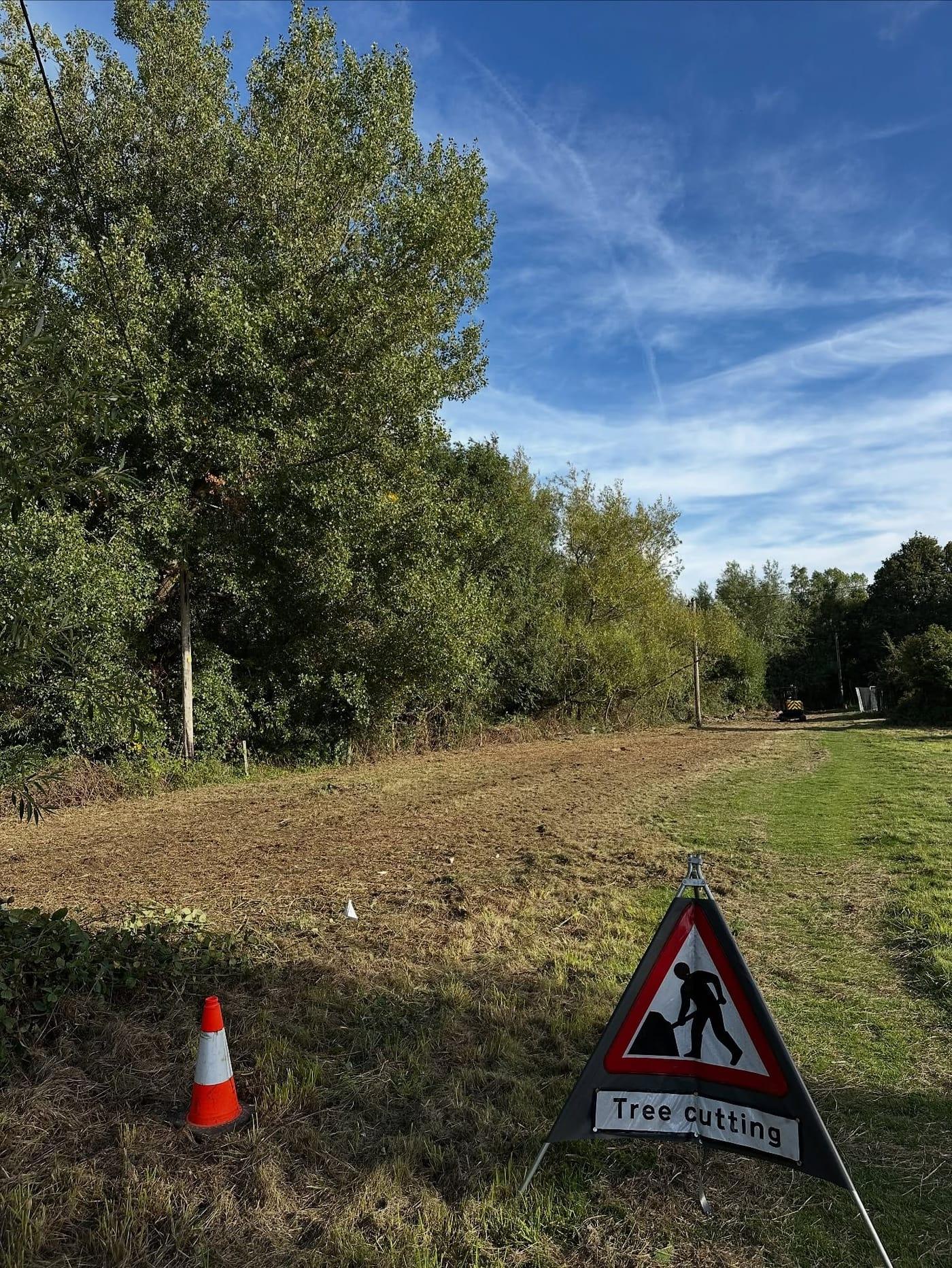 Cleared woodland edge beside a road with temporary signage in place