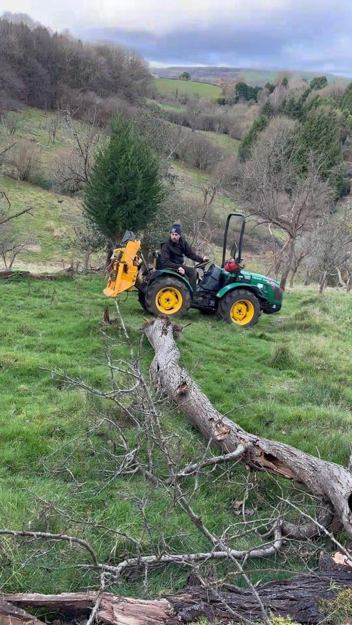 Fallen tree being cleared from a field boundary by a compact tractor
