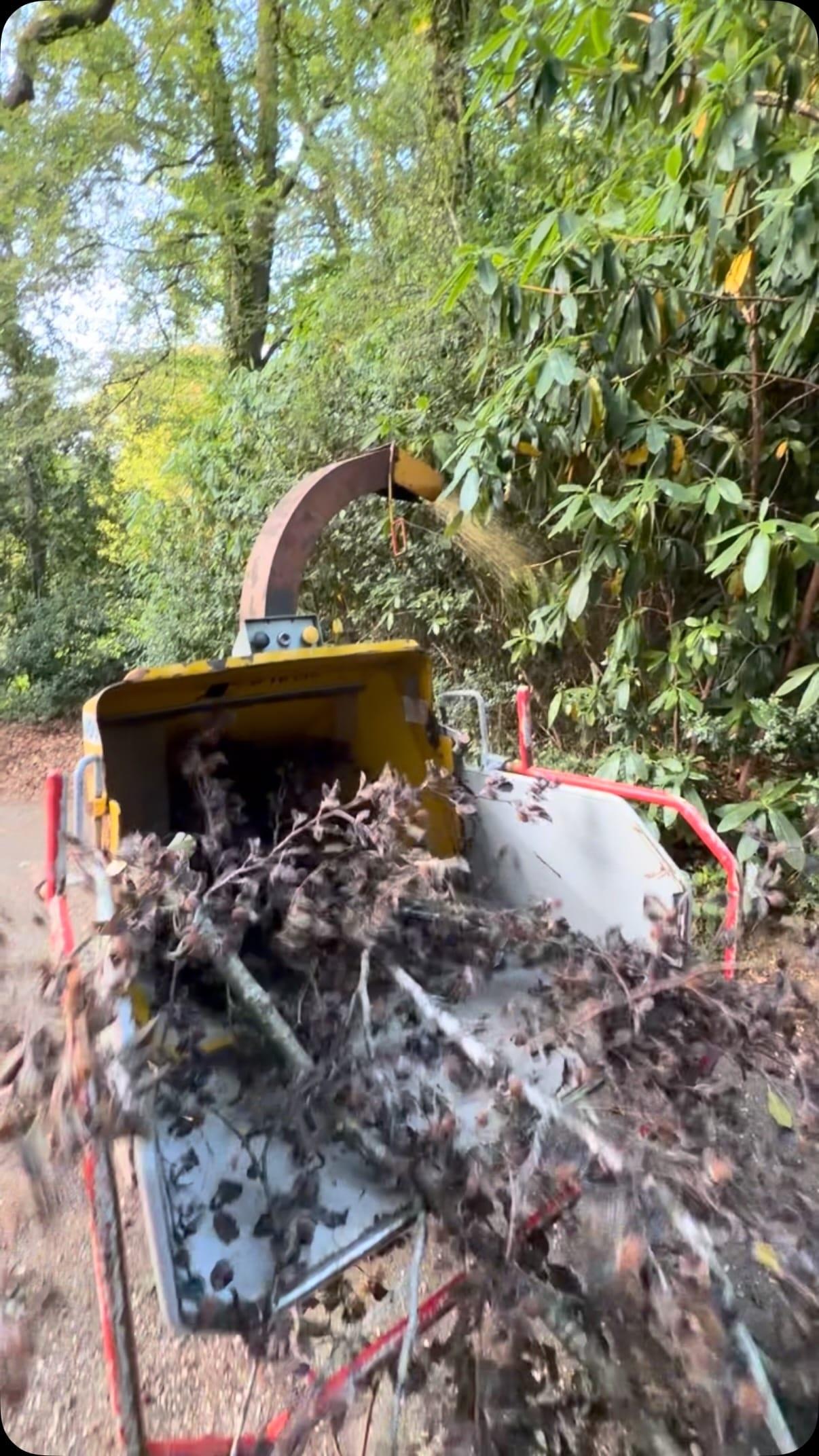 Brash being fed into a chipper to produce wood chip