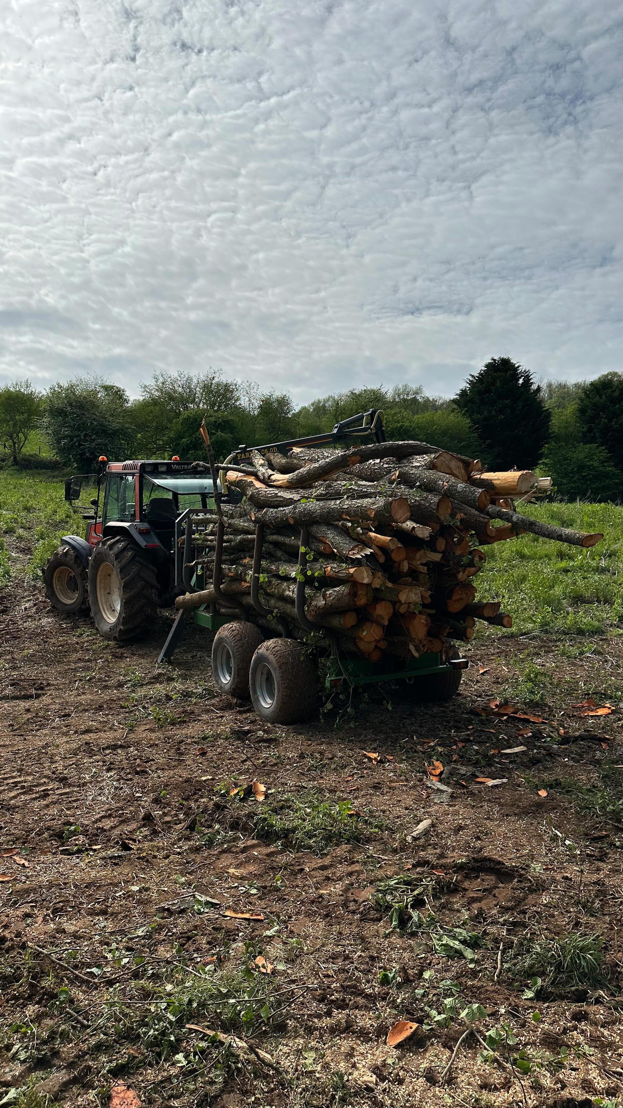 Tractor and timber trailer loaded with cut logs