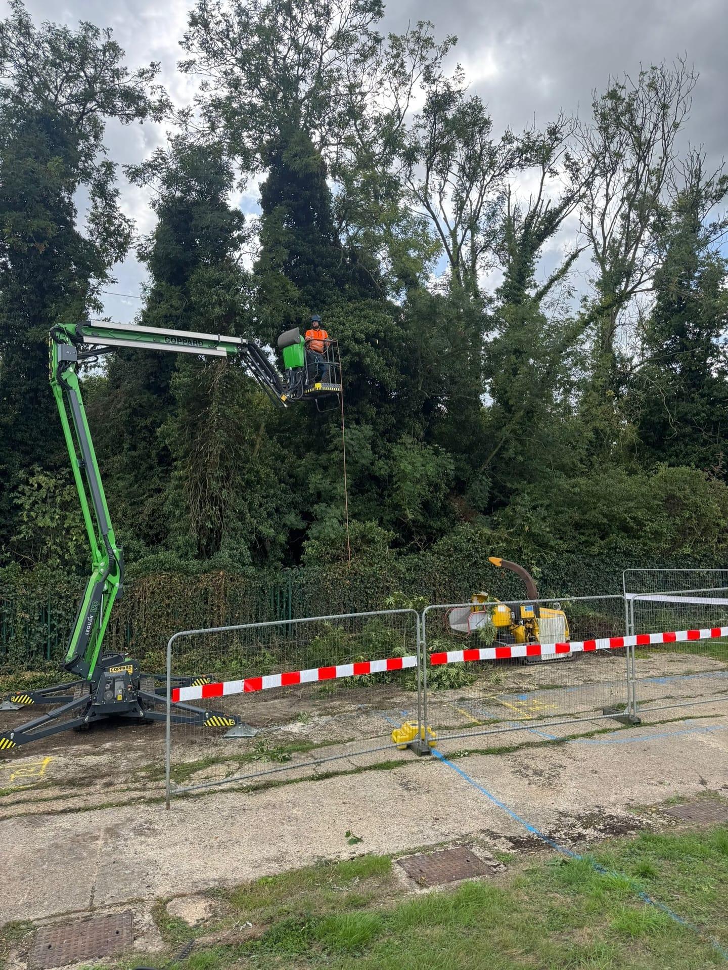 Tree work carried out from a mobile elevating work platform behind road barriers