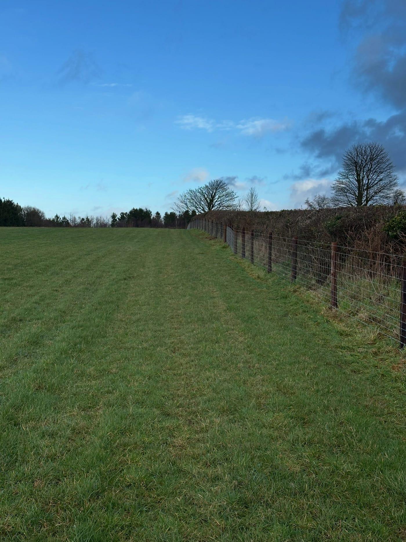 New stock fencing on creosote posts running along a hedge line under a blue sky