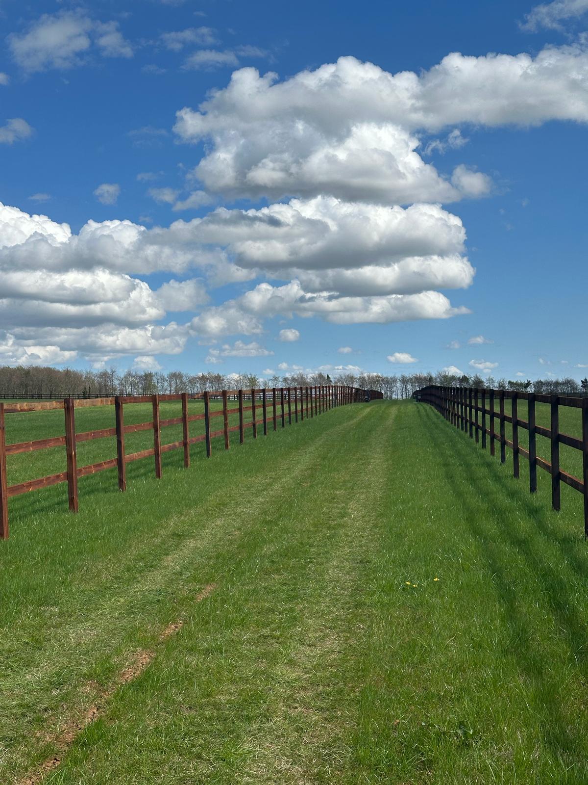 An avenue of dark post-and-rail fencing running to the horizon under a wide cloud sky